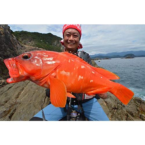 アブガルシア(Abu Garcia) ロックフィッシュロッド スピニング アブガルシア(Abu Garcia) ロックフィッシュロッド スピニング