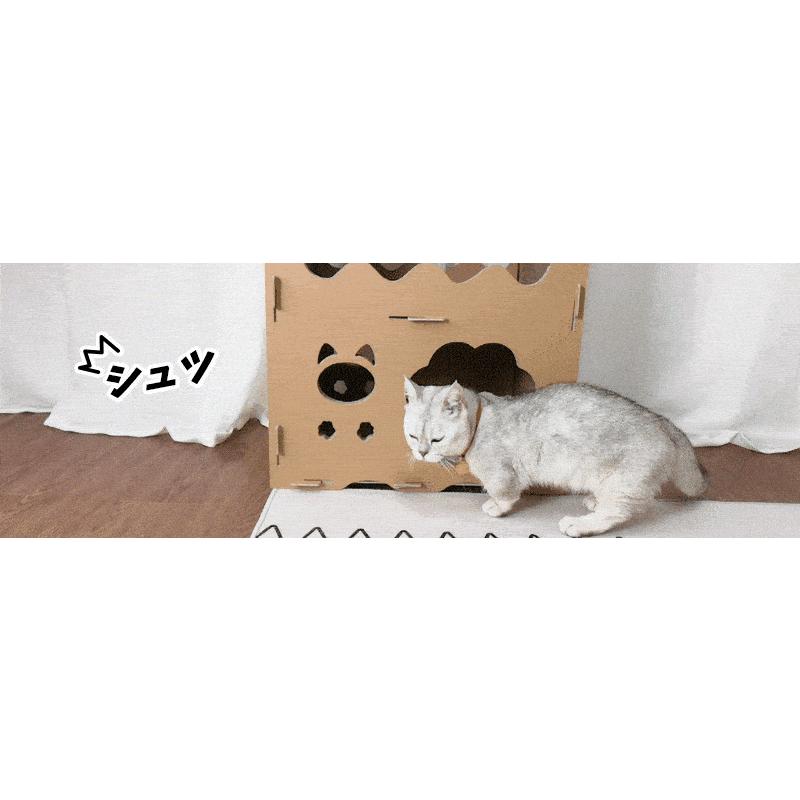 RAKU ペットハウス 防水 多頭 キャットハウス ダンボールハウス