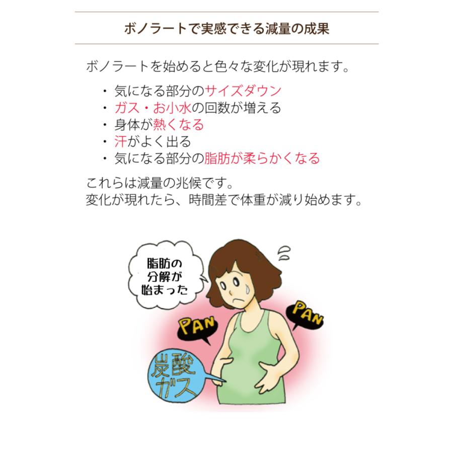 【入荷予定2026年3月】【国旗シール5枚付与】乳プロテイン 高タンパク 低糖質 ダイエットドリンク 置き換え ドイツ製 ボノラート 3袋 60食 |  | 06