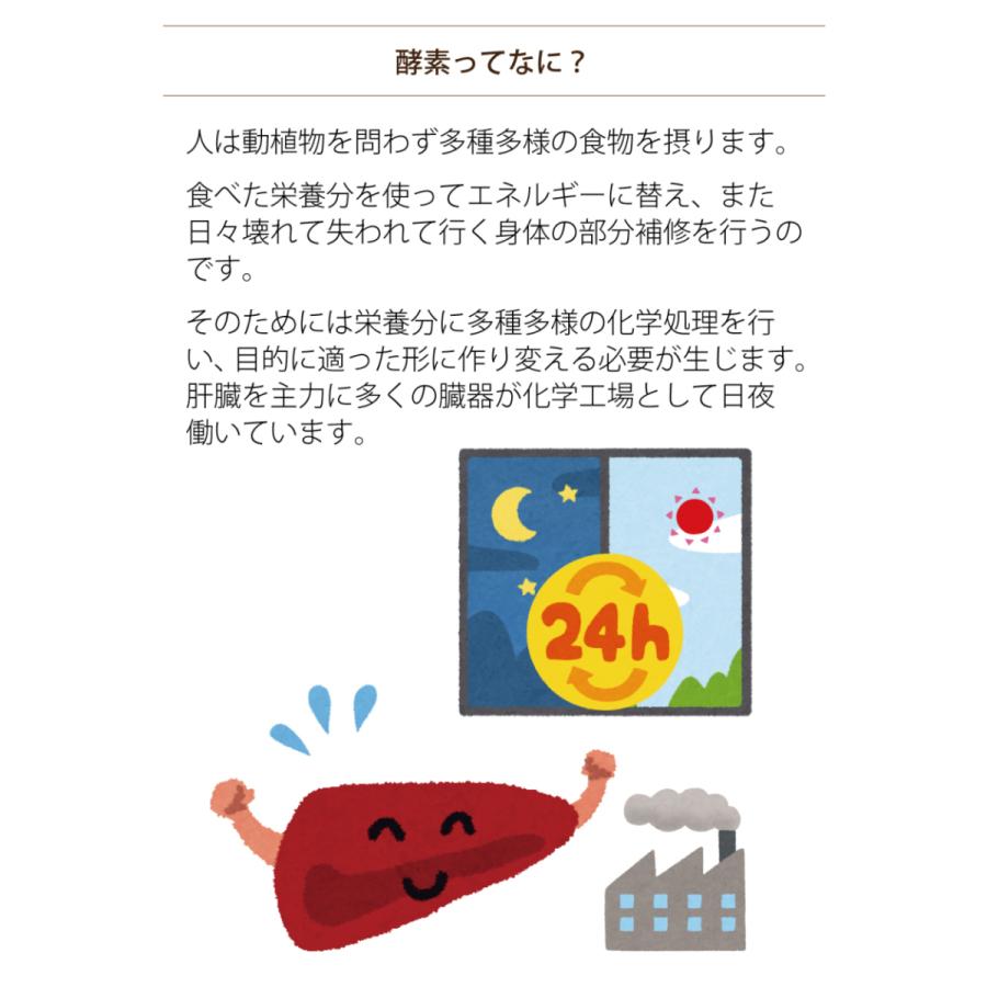 消化酵素 パイナップル パパイヤ 携帯 サプリ 酵素タブレット 個包装