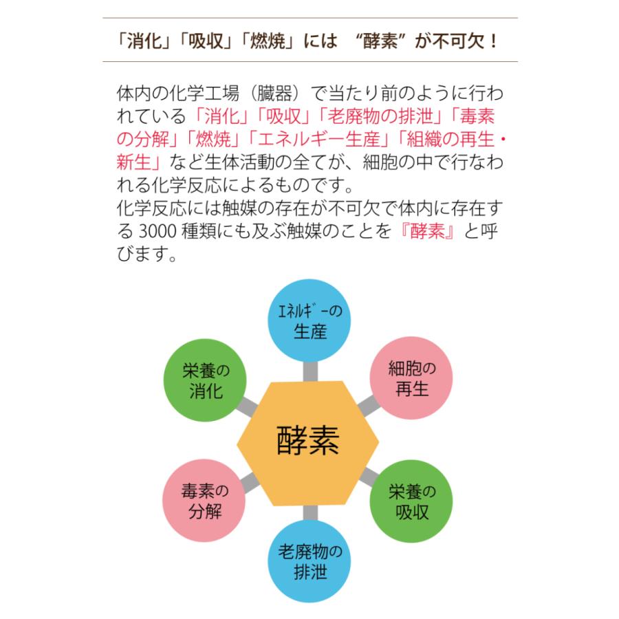 消化酵素 パイナップル パパイヤ 携帯 サプリ 酵素タブレット 個包装