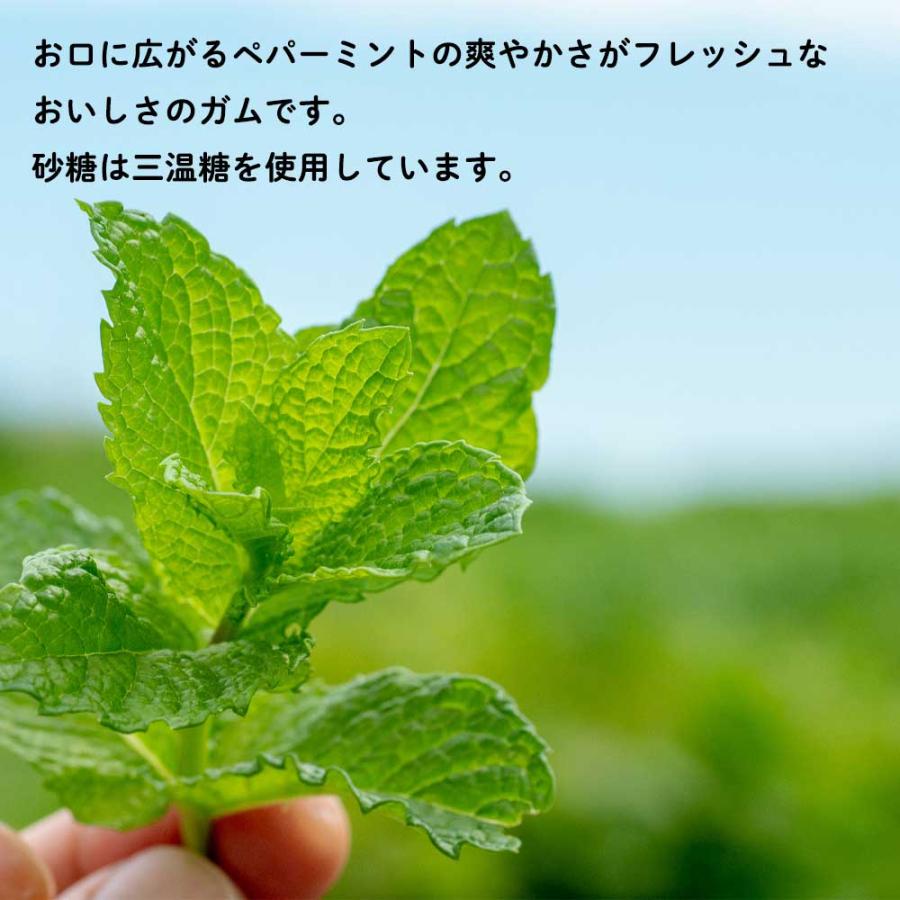 【アレルギー対応】ミントガム 10粒[サンコー食品]長期保存可能 4973728900487自然食品ボンラス 通販 Yahoo