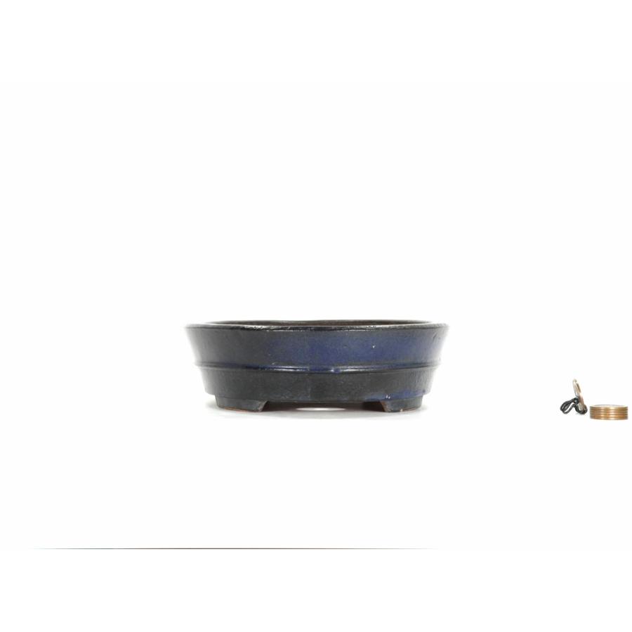 服部　瑠璃釉内縁胴紐切足楕円　　横幅25.8cm_3