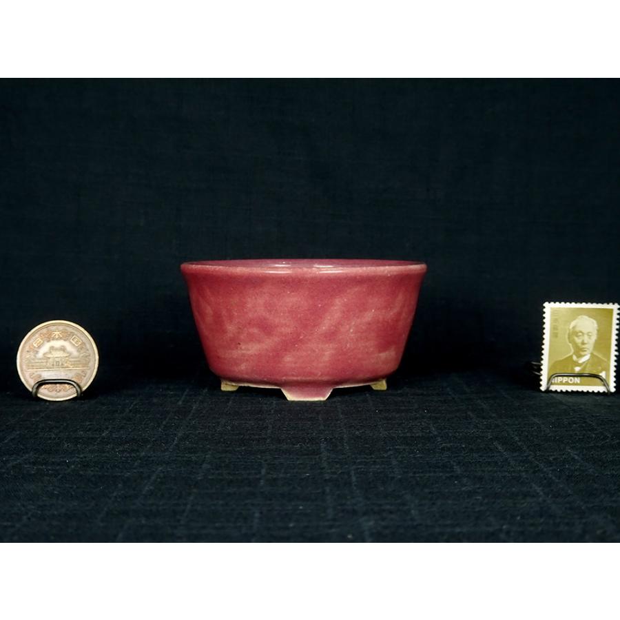 夢湖 紫色釉反縁切足丸  横幅7.5cm