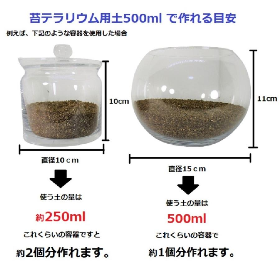苔 テラリウム 土 苔テラリウム の ソイル 用土 500ml レイアウト 用 化粧石 化粧砂利 化粧砂 の セット ｓサイズ 送料無料 苔リウム コケリウム に Layout 001 翔美苑 通販 Yahoo ショッピング