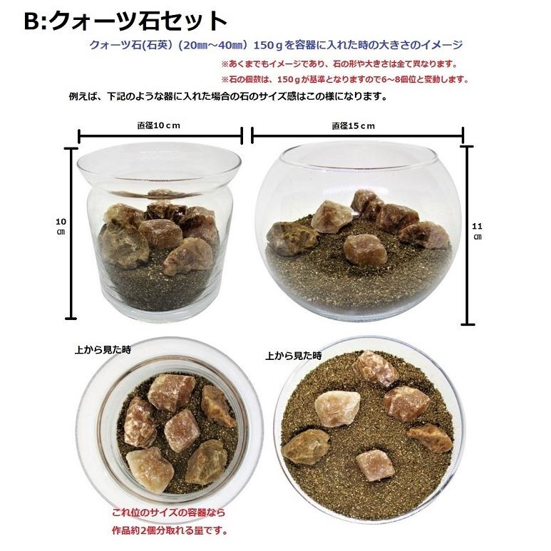 苔 テラリウム 土 苔テラリウム の ソイル 用土 500ml レイアウト 用 化粧石 化粧砂利 化粧砂 の セット ｓサイズ 送料無料 苔リウム コケリウム に Layout 001 翔美苑 通販 Yahoo ショッピング