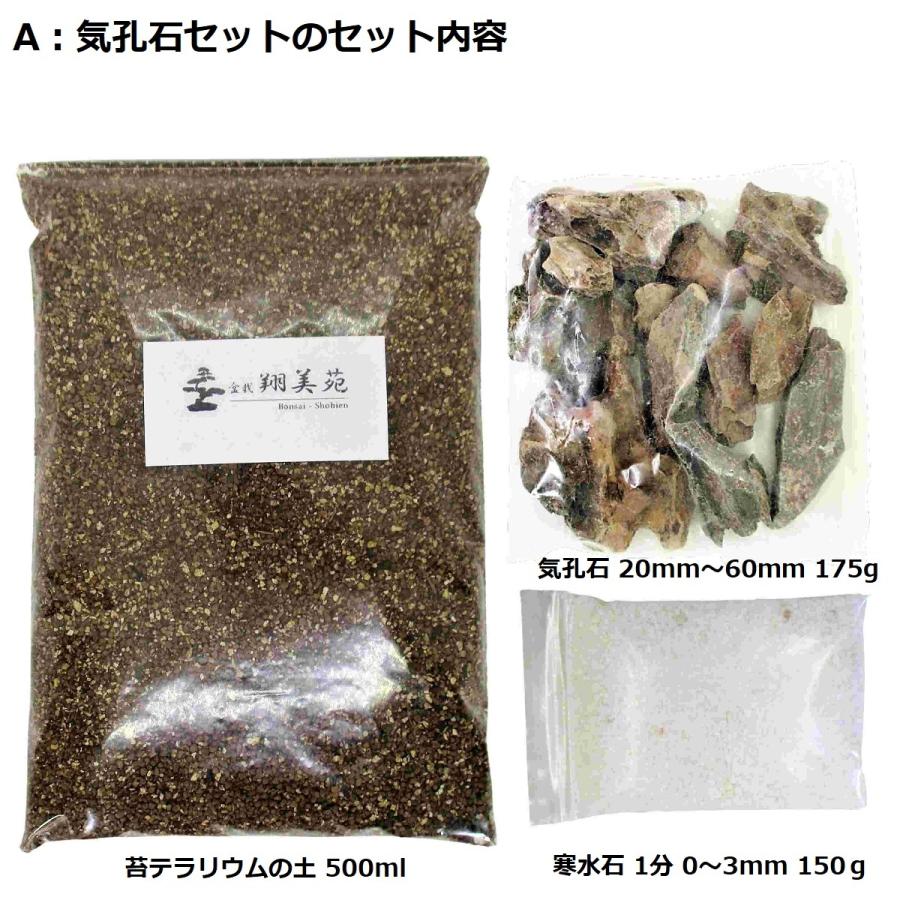 苔 テラリウム 土 苔テラリウム の ソイル 用土 500ml レイアウト 用 化粧石 化粧砂利 化粧砂 の セット ｓサイズ 送料無料 苔リウム コケリウム に Layout 002 翔美苑 通販 Yahoo ショッピング