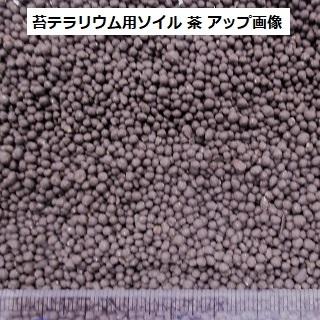 週末限定タイムセール 苔 テラリウム ソイル 苔テラリウム の 土 用土 400g 送料無料 アクアリウム ハイドロカルチャー コケリウム 苔リウム パルダリウム ビバリウム にも Aynaelda Com