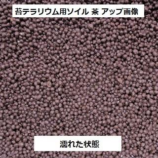 週末限定タイムセール 苔 テラリウム ソイル 苔テラリウム の 土 用土 400g 送料無料 アクアリウム ハイドロカルチャー コケリウム 苔リウム パルダリウム ビバリウム にも Aynaelda Com