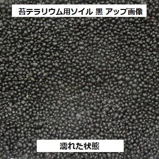 週末限定タイムセール 苔 テラリウム ソイル 苔テラリウム の 土 用土 400g 送料無料 アクアリウム ハイドロカルチャー コケリウム 苔リウム パルダリウム ビバリウム にも Aynaelda Com