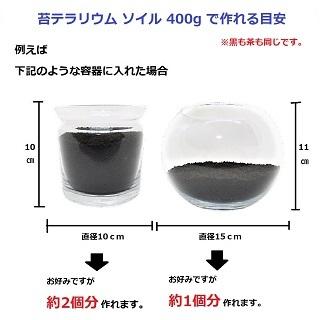 週末限定タイムセール 苔 テラリウム ソイル 苔テラリウム の 土 用土 400g 送料無料 アクアリウム ハイドロカルチャー コケリウム 苔リウム パルダリウム ビバリウム にも Aynaelda Com