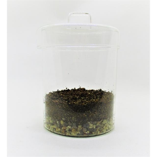 苔テラリウム ガラス容器 ハンドル キャニスター 基本用土 70g 矢作砂 150g 付き 送料無料 テラリウム容器 テラリウム 観葉植物 ガラス 瓶 蓋付き Tera G24k 翔美苑 通販 Yahoo ショッピング