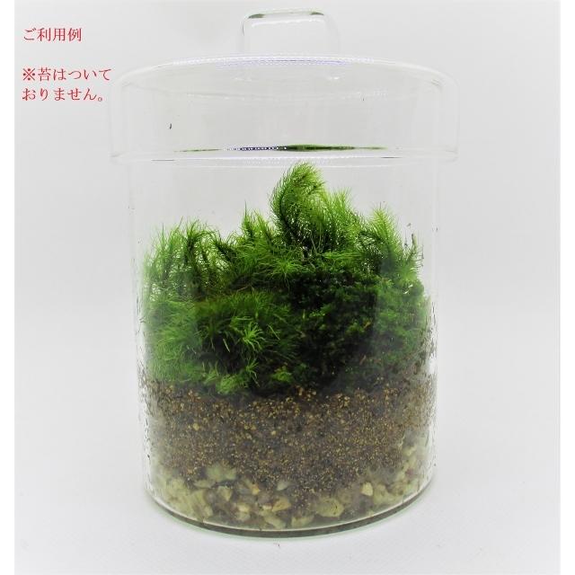苔テラリウム ガラス容器 ハンドル キャニスター 基本用土 70g 矢作砂 150g 付き 送料無料 テラリウム容器 テラリウム 観葉植物 ガラス 瓶 蓋付き Tera G24k 翔美苑 通販 Yahoo ショッピング
