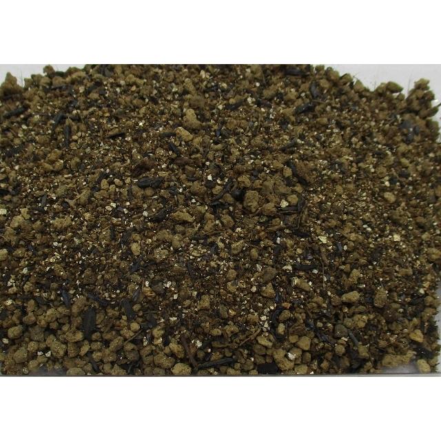 限定販売 苔 テラリウム 用土 苔テラリウム に最適なブレンド 土 500ml 送料無料 苔リウム コケリウム ミニ 観葉植物 パルダリウム ビバリウム にも