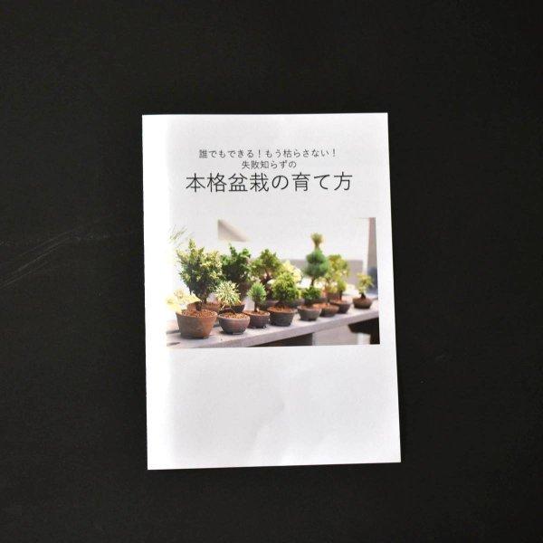 ミニ盆栽 初心者植え替えセット 鉢付き 針金 メッシュ 肥料ケース 肥料 土 丹山鉢 Bonsai 盆栽道具 Uekaeset6 松慶盆栽園 ヤフー店 通販 Yahoo ショッピング
