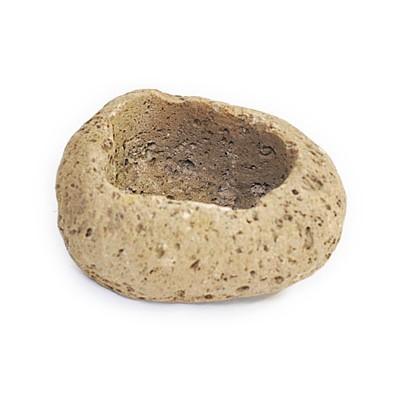 盆栽鉢 5号 軽石 大 幅15.0cm×高6.0cm 3号 : 盆栽妙 ヤフー店 盆栽鉢 5号 軽石 大 幅15.0cm×高6.0cm 3号 : 盆栽妙 ヤフー店