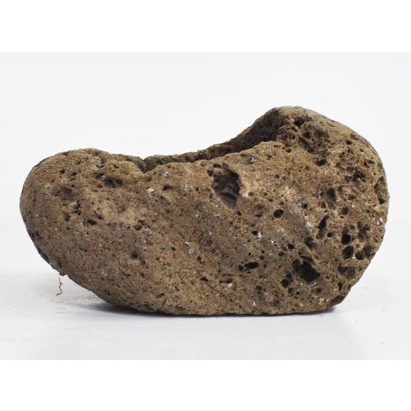 盆栽鉢 4号 軽石 小 幅13.0cm×高5.0cm 2号 : 盆栽妙 ヤフー店 - 通販