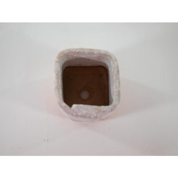 盆栽鉢 2号 白掛合せ角ミニ ミニ 豆盆栽 ミニ盆栽 小さい 陶器 : 盆栽