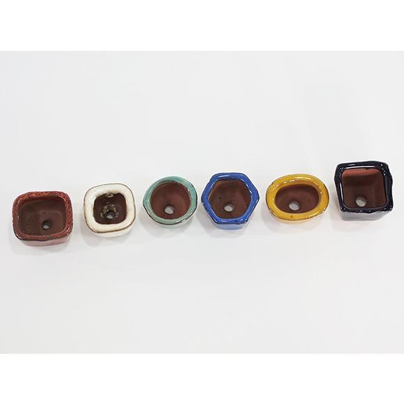 331.彫刻豆丸鉢2点 盆栽鉢 5.5*3cm 331.彫刻豆丸鉢2点 盆栽鉢 5.5*3cm 新発売 新商品