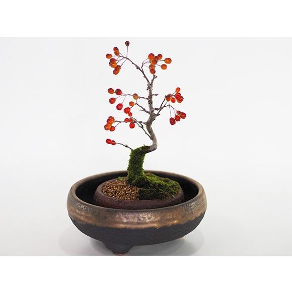 秋柿植栽鉢 盆栽鉢 山野草鉢 多肉植物 植木鉢 小品大品盆栽鉢 陶器鉢置物 盆栽鉢 6号」の人気商品一覧 | 安い商品を通販サイトから探す - 価格.com
