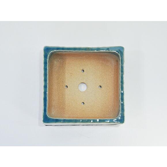 盆栽鉢 山野草鉢 5号 ブルーガラス 正方形 幅15cm×奥行15cm×高さ5.5cm