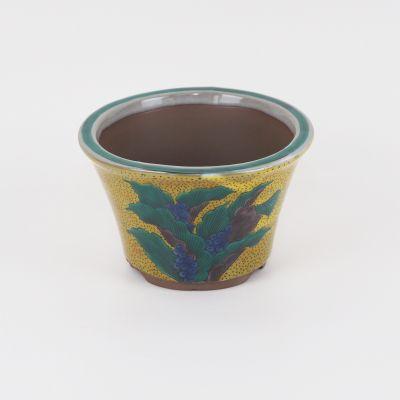 盆栽鉢 九谷焼 吉田屋おもと 4号 幅12.5cm×高7.8cm 陶器 ミニ盆栽 