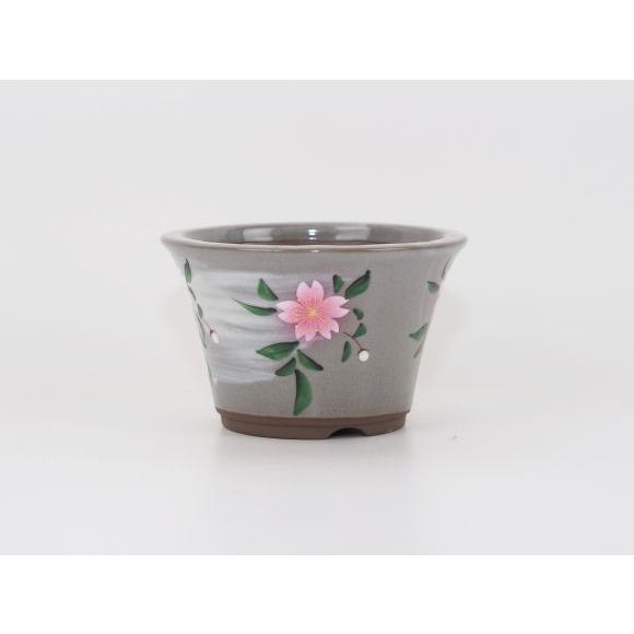 盆栽鉢 九谷焼 手書き桜 4号 幅12.5cm×高さ7.8cm 陶器鉢 陶器 ミニ盆栽