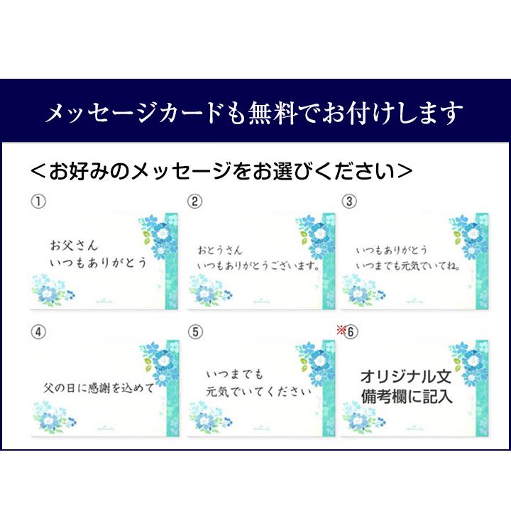 花盆栽 花 特選 長寿梅　 赤花 立派 ブランド 人気 ランキング 60代 70代 新しい 趣味 可愛い ボンサイ ギフト_14