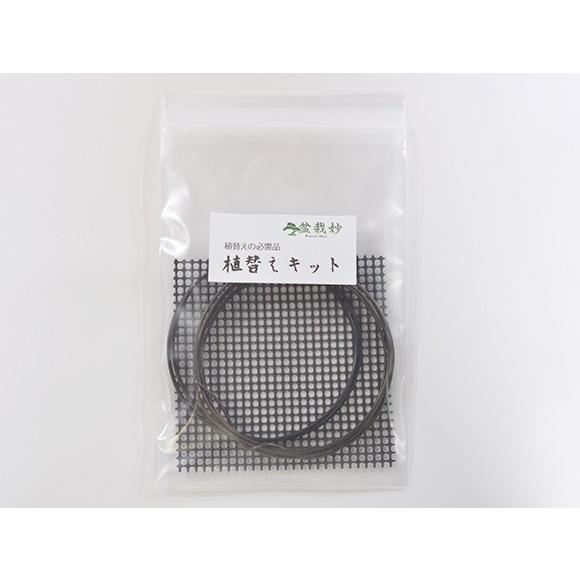 植え替えキット 針金と鉢底網 松 豪華 情景を楽しむ初めてでも安心の育て方冊子と肥料付き 高額売筋 盆景