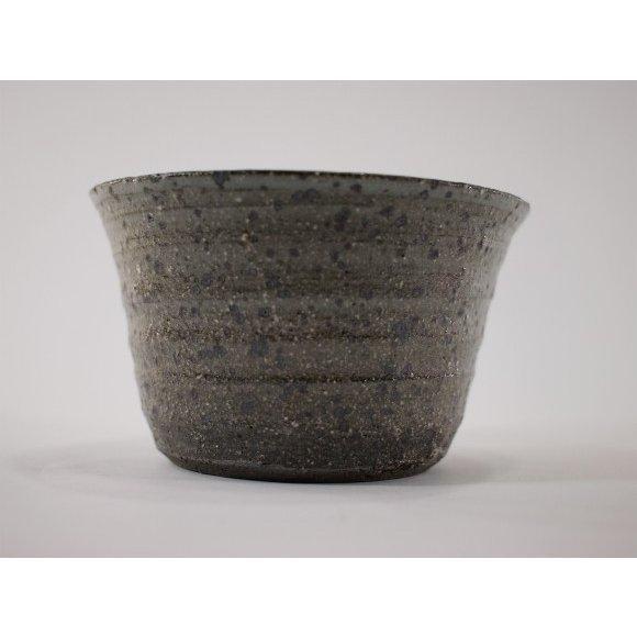 盆栽 長寿楽 ミニ盆栽 ミニ ちょうじゅらく 長寿楽 花 満開 ギフト 敬老の日 a1124 盆栽妙 ヤフー店 通販 Yahoo ショッピング