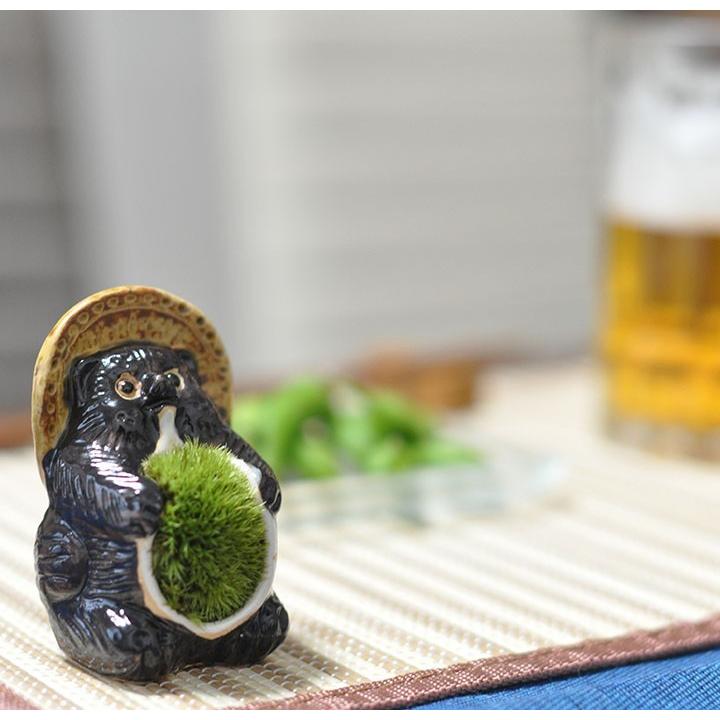 自然樹形の盆栽 陶器鉢 苔付き 自然樹形の盆栽 陶器鉢 苔付き