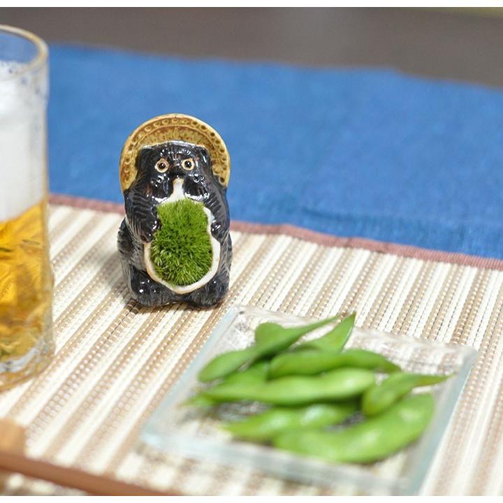 盆栽 苔 信楽焼たぬき 苔盆栽 ブランド 人気 ランキング 60代 70代