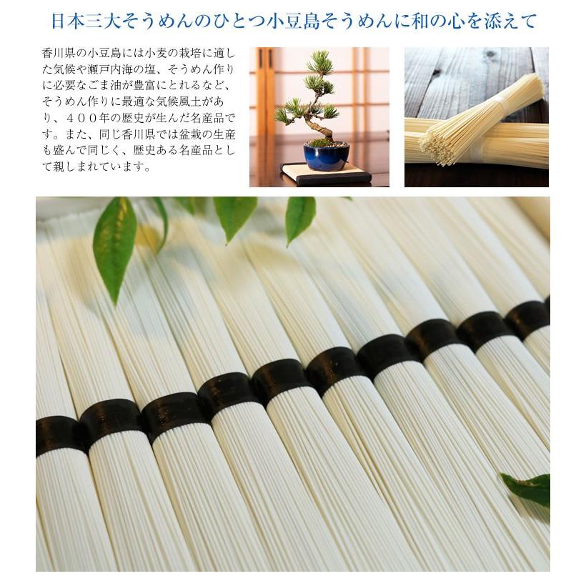 松盆栽 松 樹齢 5年 ミニ五葉松 そうめん セット ランキング プレゼント 初心者 国産 香川 小豆島　_2