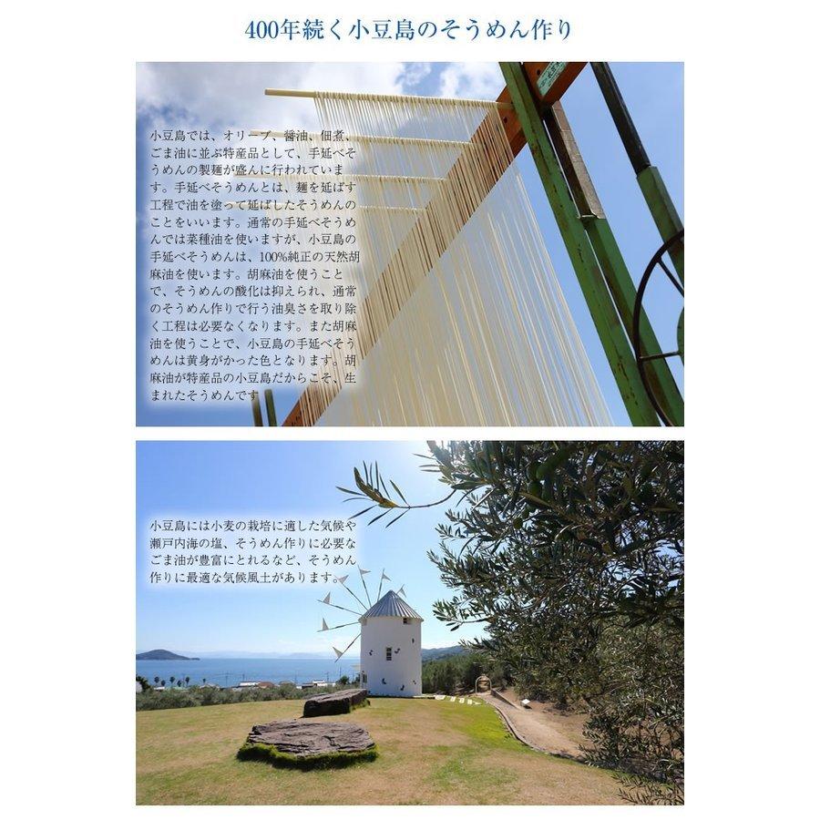 松盆栽 松 樹齢 5年 ミニ五葉松 そうめん セット ランキング プレゼント 初心者 国産 香川 小豆島　_4