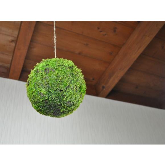 モスボール 22cm 苔盆栽 苔玉 和盆栽 山苔 ギフト 贈り物 おしゃれ モダン インテリア グリーン_1