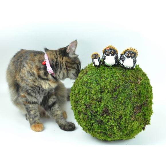 モスボール 22cm 苔盆栽 苔玉 和盆栽 山苔 ギフト 贈り物 おしゃれ モダン インテリア グリーン_4