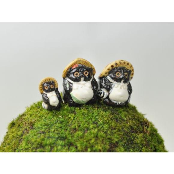 モスボール 22cm 苔盆栽 苔玉 和盆栽 山苔 ギフト 贈り物 おしゃれ モダン インテリア グリーン_5