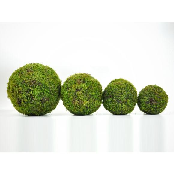 モスボール 22cm 苔盆栽 苔玉 和盆栽 山苔 ギフト 贈り物 おしゃれ モダン インテリア グリーン_6