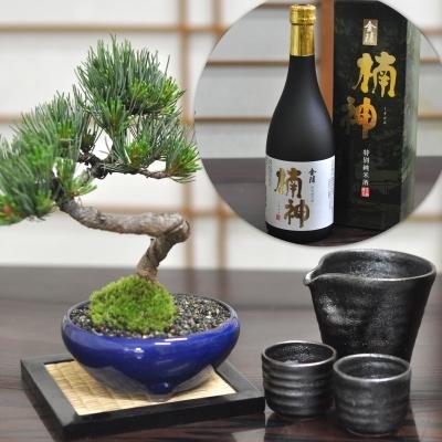 松寿　ミニ盆栽鉢 母の日 松と花 ミニ盆栽ペアセット| プレゼントに盆栽妙 – 盆栽