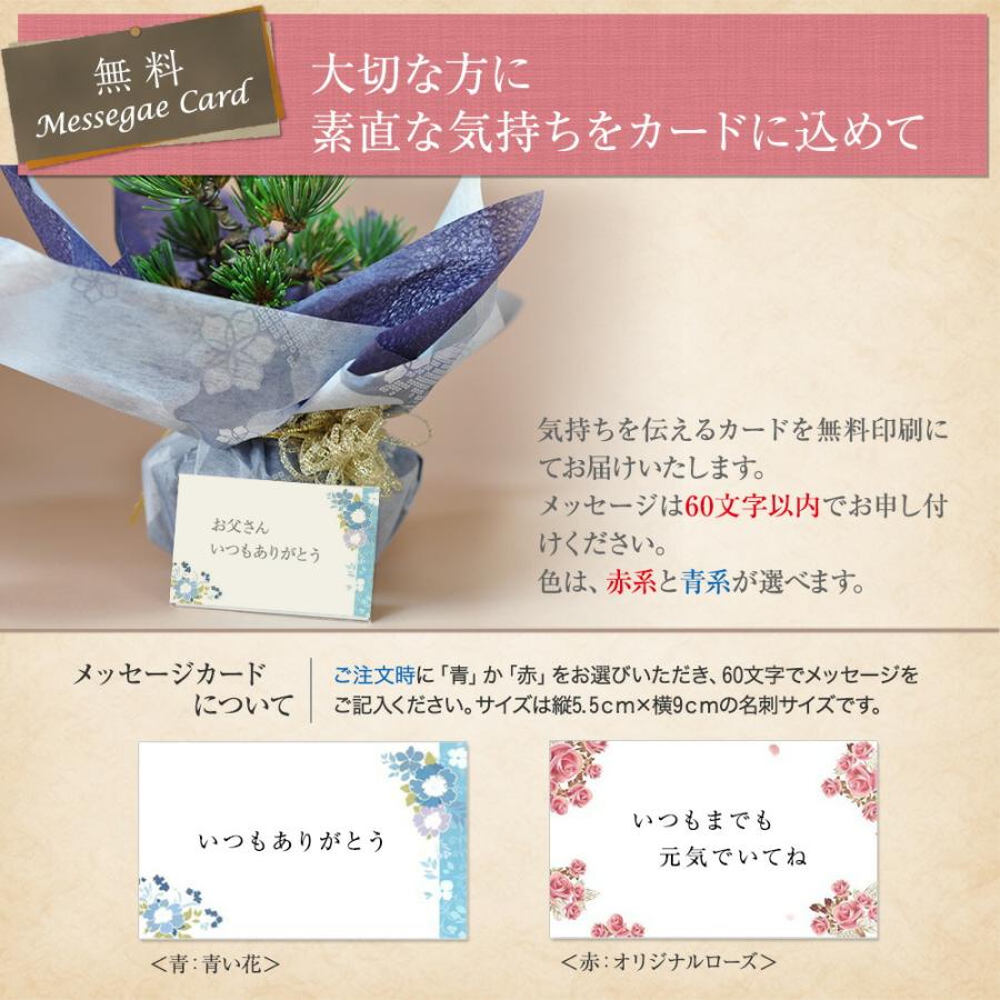 盆栽妙 紀州真柏 威風堂々 大型 真柏盆栽 贈り物 苗 : 盆栽妙 ヤフー店