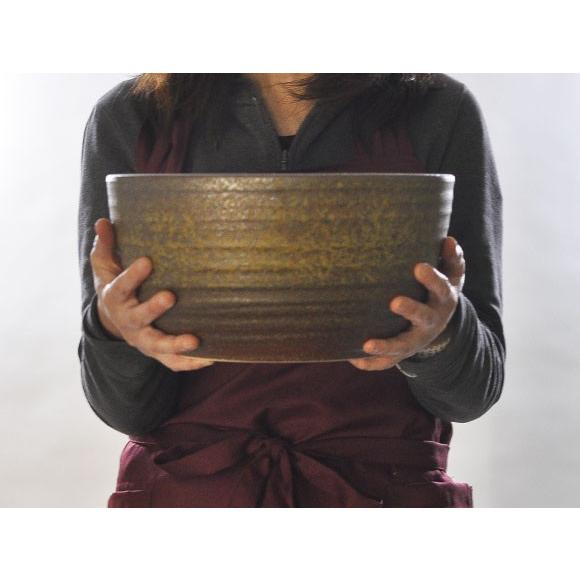 睡蓮鉢 めだか鉢 信楽焼 窯肌ひねりボール水鉢 10号サイズ 自然 水辺