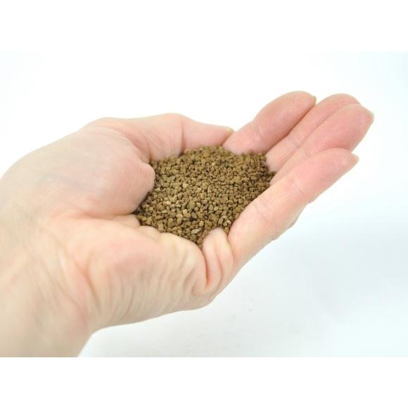 硬質赤玉土 極小品 極小粒1mm S 二本線 重さ 700g 内容量 0 8l 用土 道具 配合 植え替え 専用 本格bonsaiボンサイ a1287 盆栽妙 ヤフー店 通販 Yahoo ショッピング