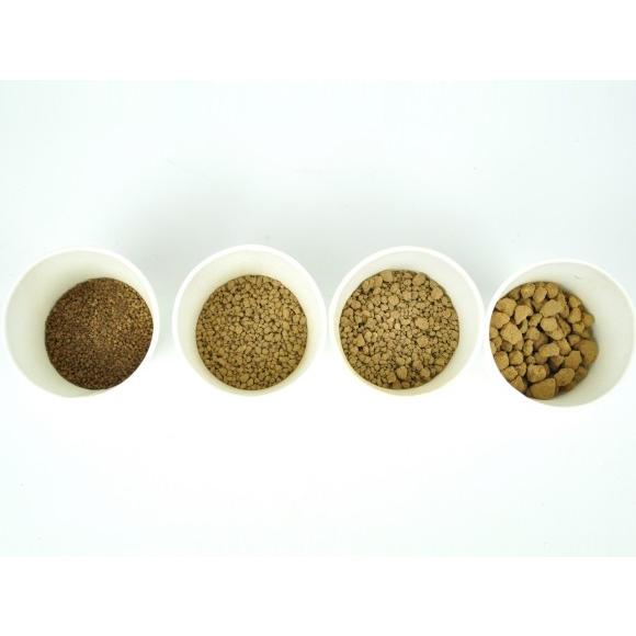 硬質赤玉土 極小品 極小粒1mm S 二本線 重さ 700g 内容量 0 8l 用土 道具 配合 植え替え 専用 本格bonsaiボンサイ a1287 盆栽妙 ヤフー店 通販 Yahoo ショッピング