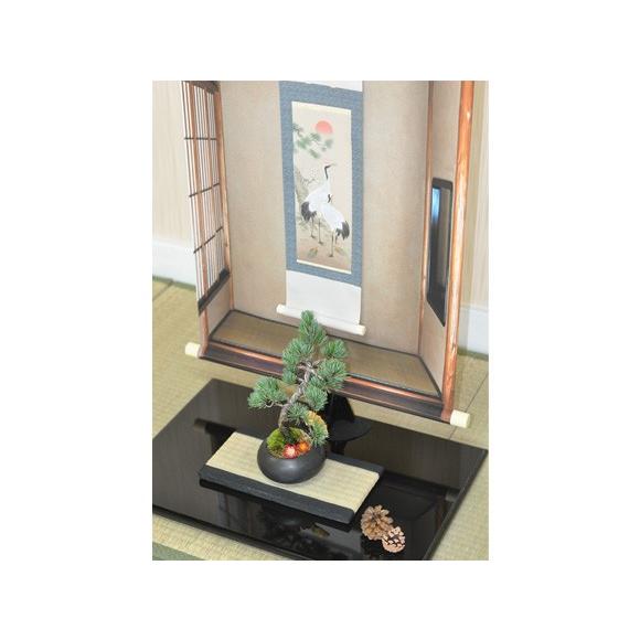 ミニ床の間タペストリー 盆栽 ミニ盆栽 掛軸 : 盆栽妙 ヤフー店