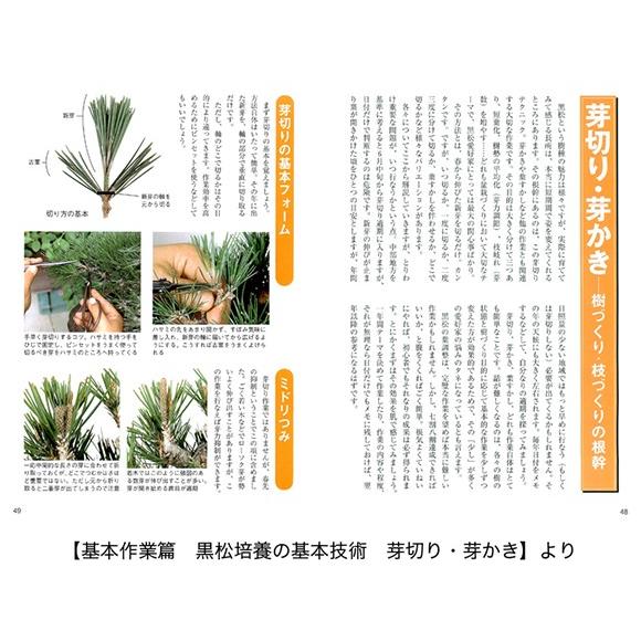 書籍 盆栽 黒松の育て方本 ブック 近代出版 a2430 盆栽妙 ヤフー店 通販 Yahoo ショッピング
