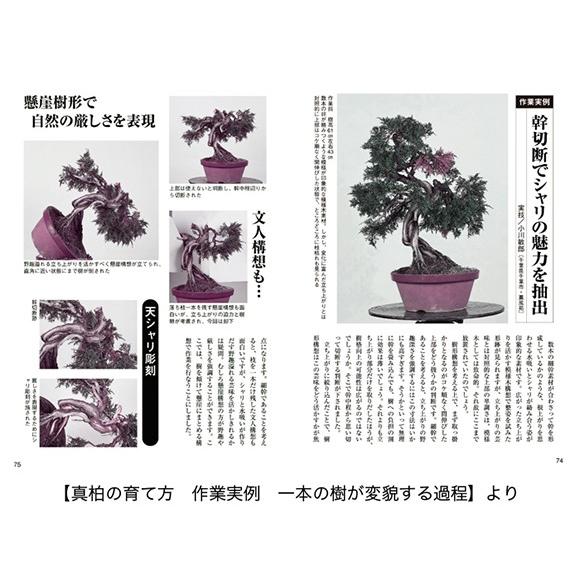 書籍 盆栽 真柏・杜松の育て方本 ブック 近代出版 : 盆栽妙 ヤフー店
