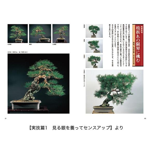 書籍 盆栽 赤松の育て方本 ブック 近代出版 a2432 盆栽妙 ヤフー店 通販 Yahoo ショッピング