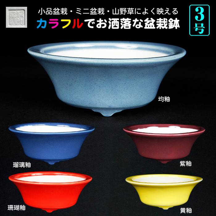 盆栽鉢 色鉢 静和富造反型丸鉢 小 3号 8cm 磁器 小品盆栽 ミニ盆栽 山野草に最適 3 3 盆栽彩都ヤフー店 通販 Yahoo ショッピング