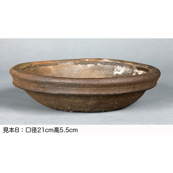 盆栽鉢 山野草鉢 「本南蛮丸鉢(中)」 寄せ植え 文人盆栽 草物 盆栽鉢 山野草鉢 「本南蛮丸鉢(中)」 寄せ植え 文人盆栽 草物