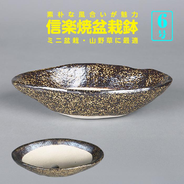 盆栽鉢 山野草鉢 信楽焼金ソバ舟型鉢 6号 18cm 反石風 創作盆栽 寄せ
